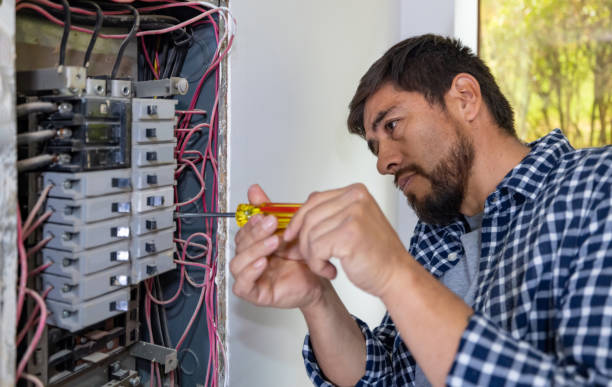 Best Electric Panel Repair  in Walterboro, SC
